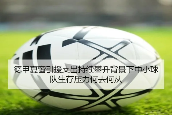 德甲夏窗引援支出持续攀升背景下中小球队生存压力何去何从